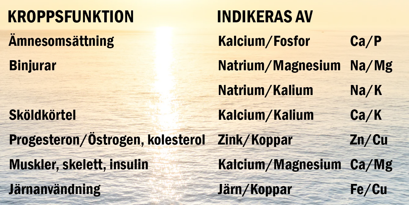 viktig mineralbalans