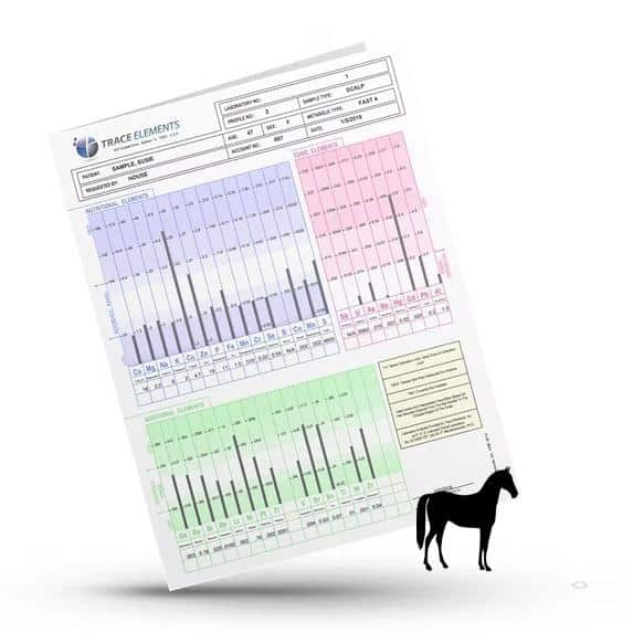 hårmineralanalys häst