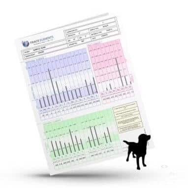 hårmineralanalys hund