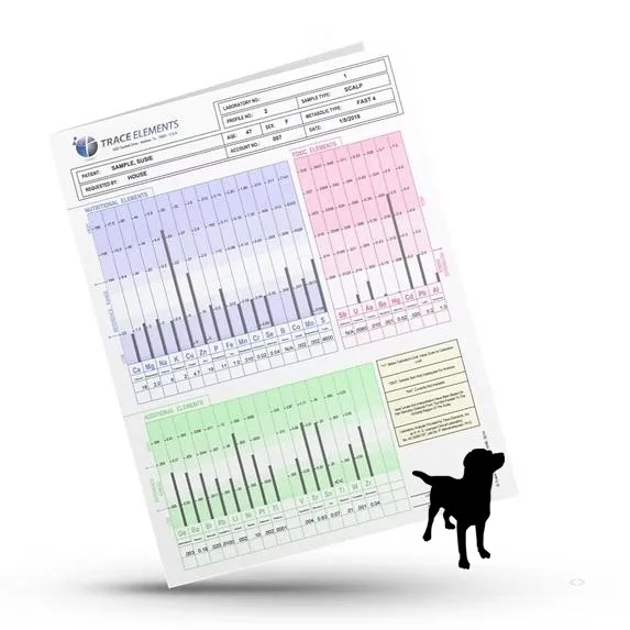 hårmineralanalys hund