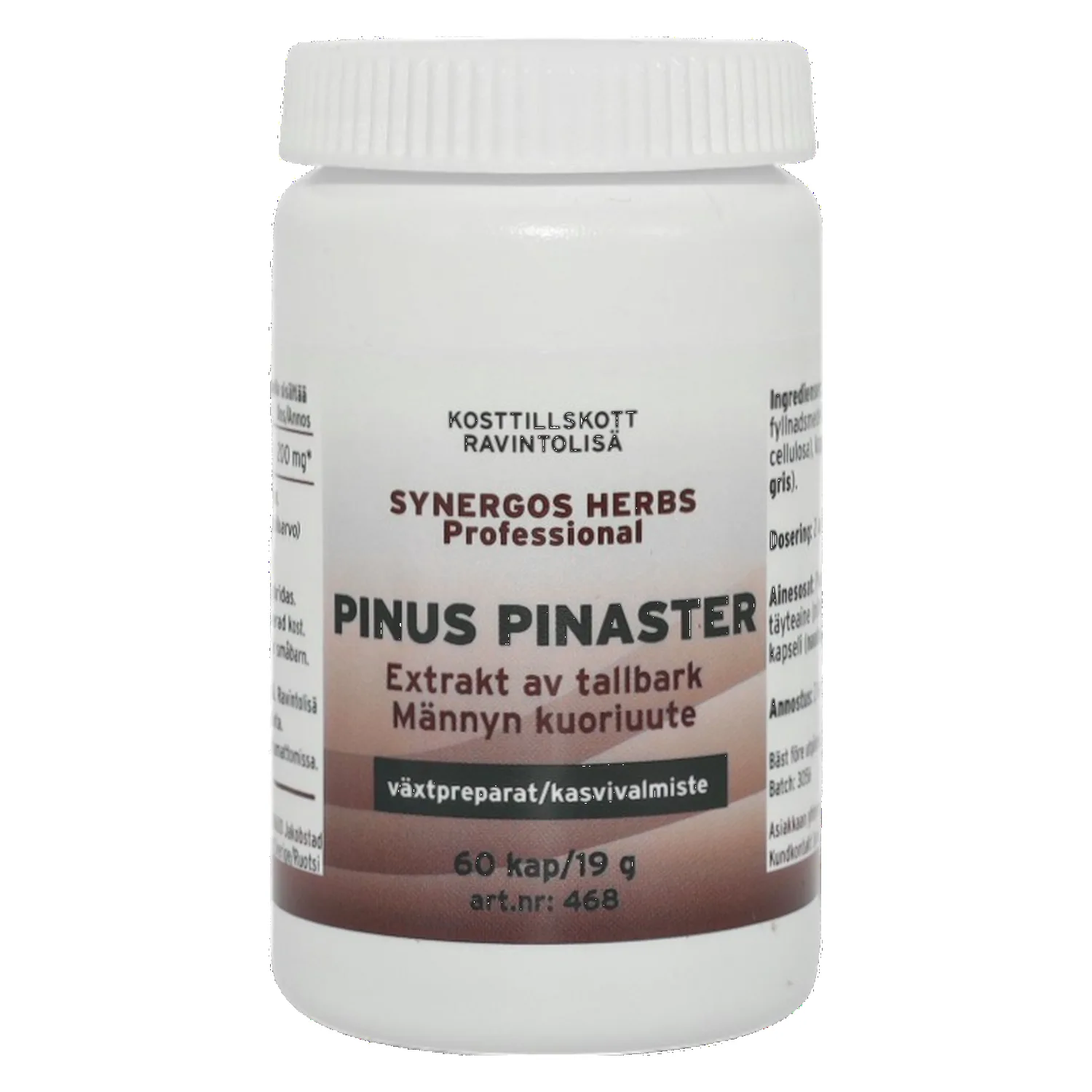 Pinus Pinaster