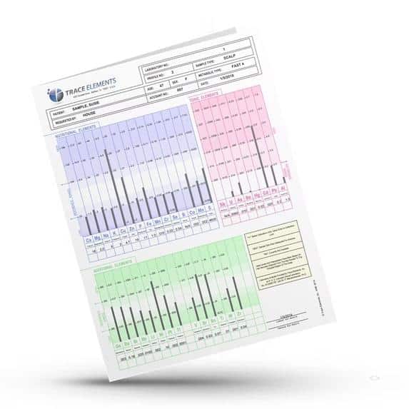 hårmineralanalys hund häst